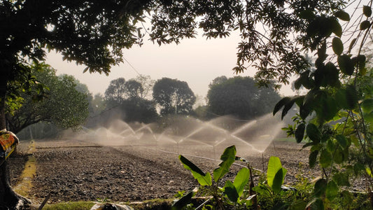 sprinklers are spraying water on a field