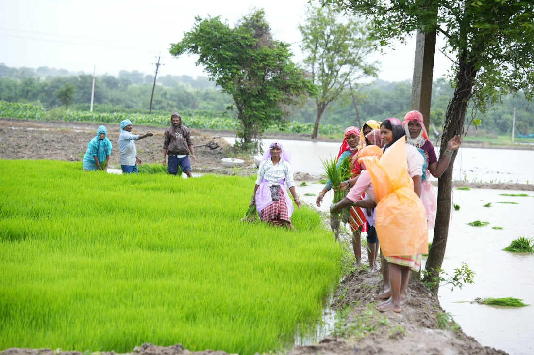 A group of people standing around a lush green field