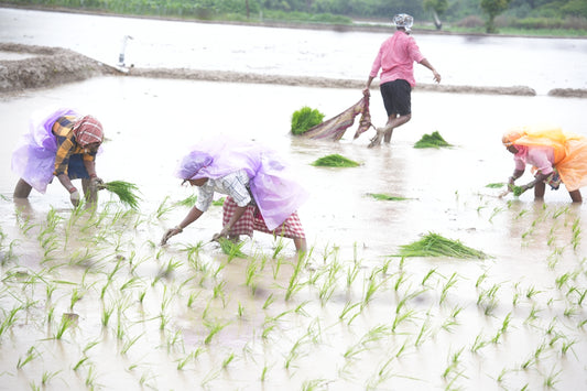 A group of people working in a flooded area
