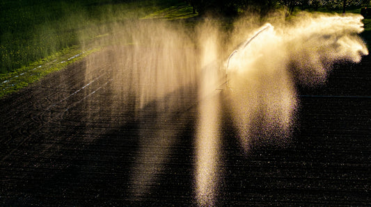 Sprinkler irrigates a field with water.