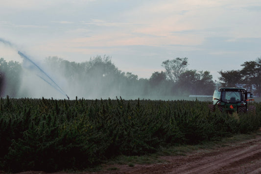 Tractor irrigating a field of crops at dusk.