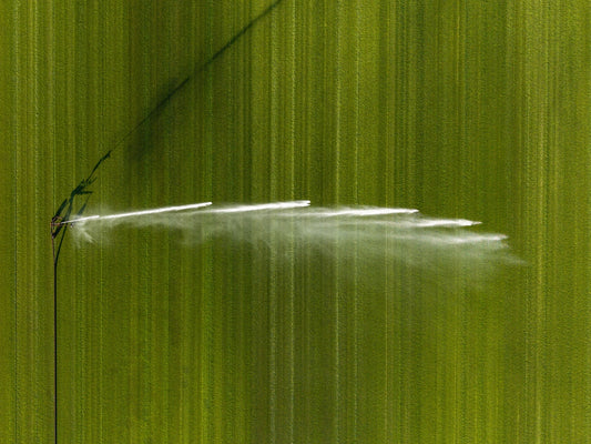 Green field with water spray from a sprinkler