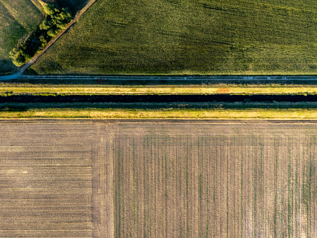 Green and brown agricultural fields separated by a canal.