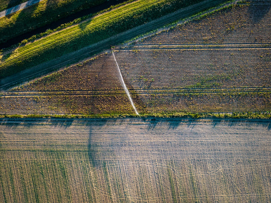 Aerial view of cultivated fields with long shadows.